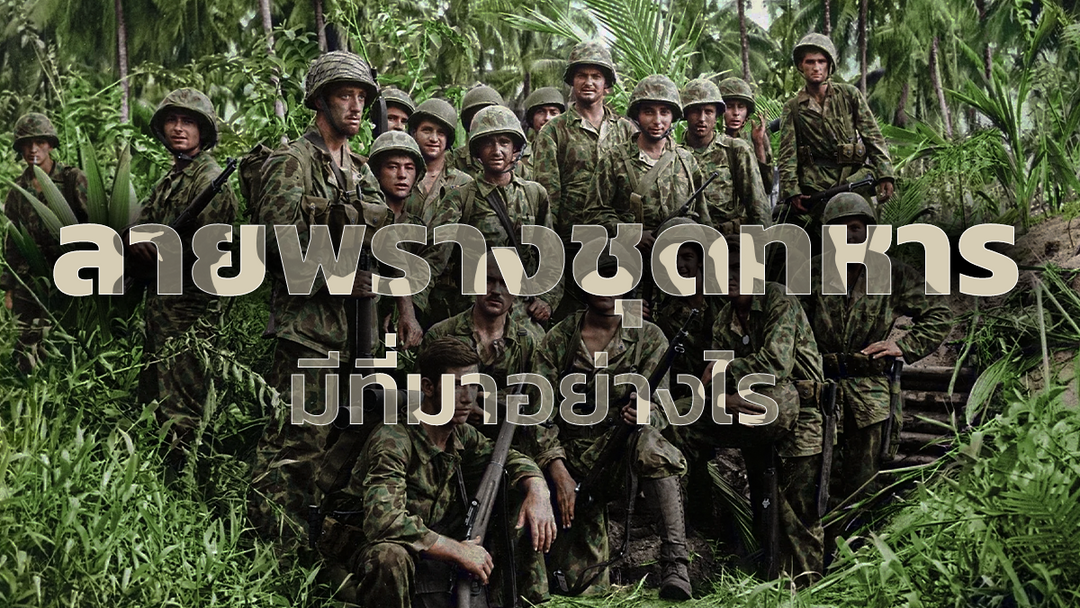 ลายพรางชุดทหาร พรางตัวได้จริงไหม