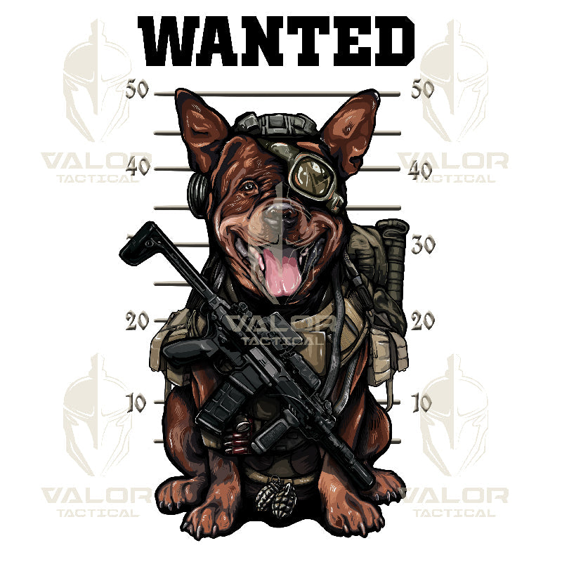 เสื้อยืดสกรีนลาย VALOR PX - Wanted T-Shirt 2024